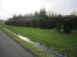 Zandhoven met Amelberga 136
