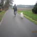 Zandhoven met Amelberga 138