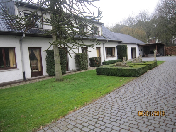 Zandhoven met Amelberga 141