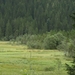P8255357