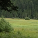 P8255359