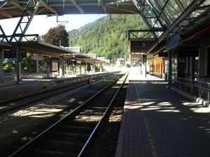 P8195084