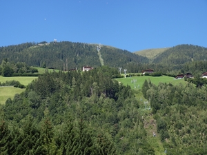 P8195131