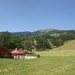 P8215294