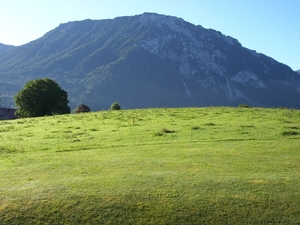 P8074557