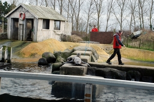 114  Eindejaar 2012 in Oostende - Blankenberge Sea Life
