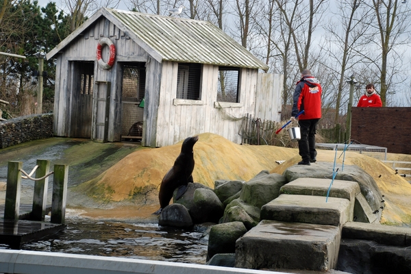 116  Eindejaar 2012 in Oostende - Blankenberge Sea Life