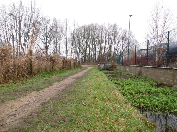 2013-01 06 Roosdaal 005