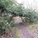 2013-01 06 Roosdaal 007