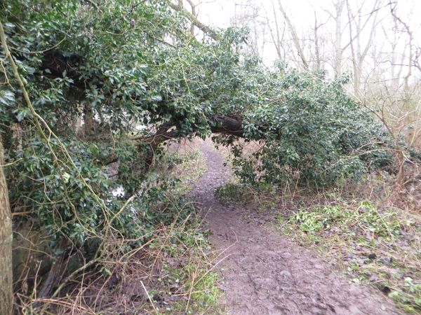 2013-01 06 Roosdaal 007