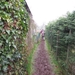 2013-01 06 Roosdaal 008