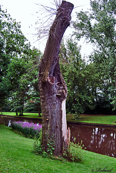 _DSC2741-R - Brugge - Minnewater