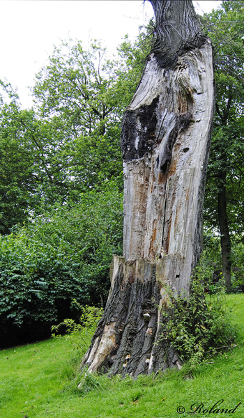 _DSC2745-a Brugge - Minnewater