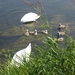 P6043255