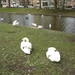 130414 BRUGGE 006