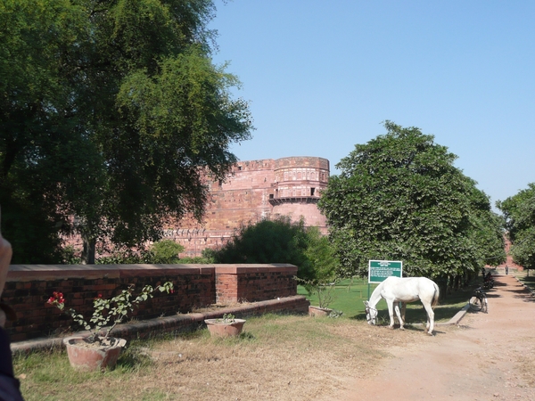 1 (189)Agra Fort