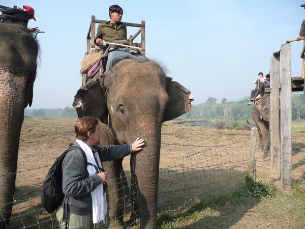 1 (250)Chitwan NP