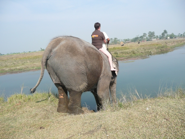 1 (251)Chitwan NP