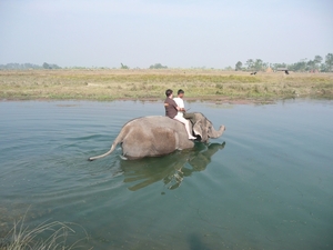 1 (252)Chitwan NP