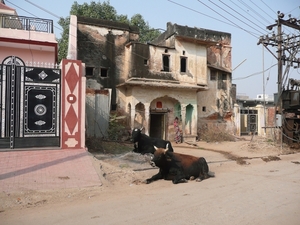 1 (38)Nawalgarh