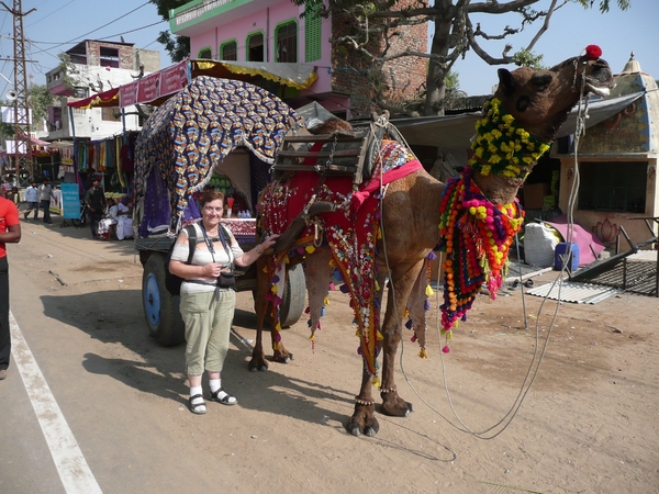 1 (58)Pushkar