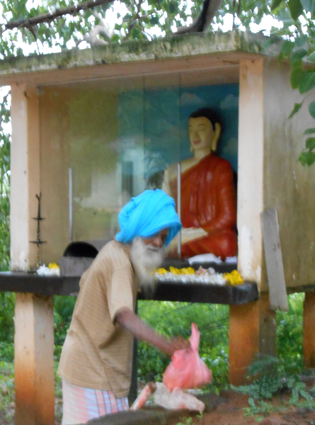 Franchipanne bloemen worden geofferd