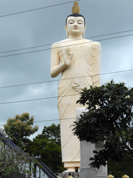 DSCN0410