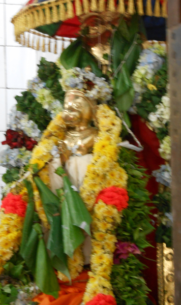 DSCN0707