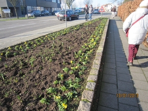 13-01-2013 Wandeling Schoten 008