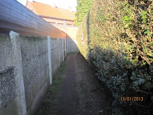 13-01-2013 Wandeling Schoten 016