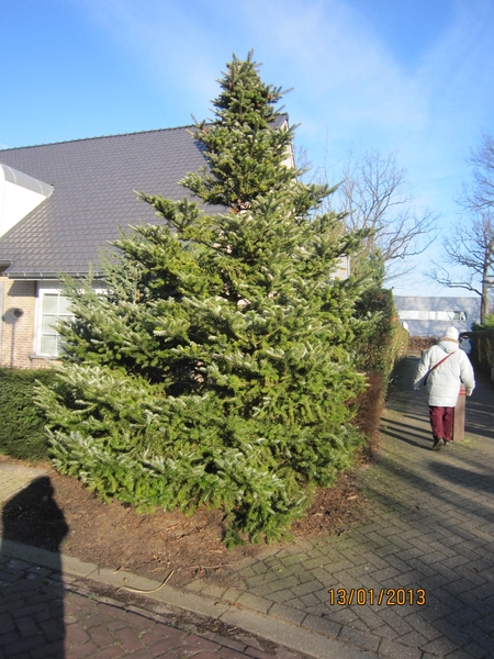 13-01-2013 Wandeling Schoten 021