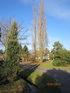 13-01-2013 Wandeling Schoten 034