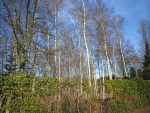 13-01-2013 Wandeling Schoten 036