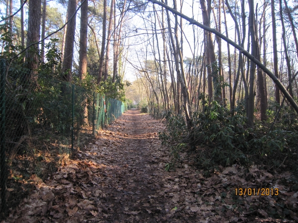 13-01-2013 Wandeling Schoten 041