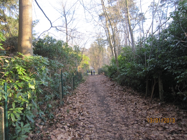 13-01-2013 Wandeling Schoten 043