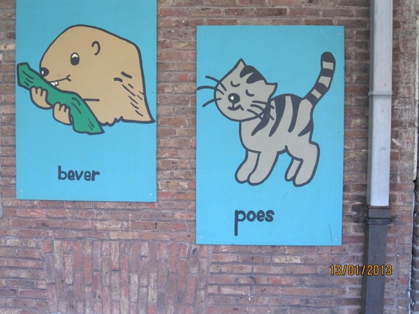 13-01-2013 Wandeling Schoten 069