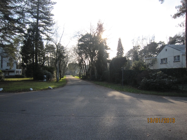 13-01-2013 Wandeling Schoten 076