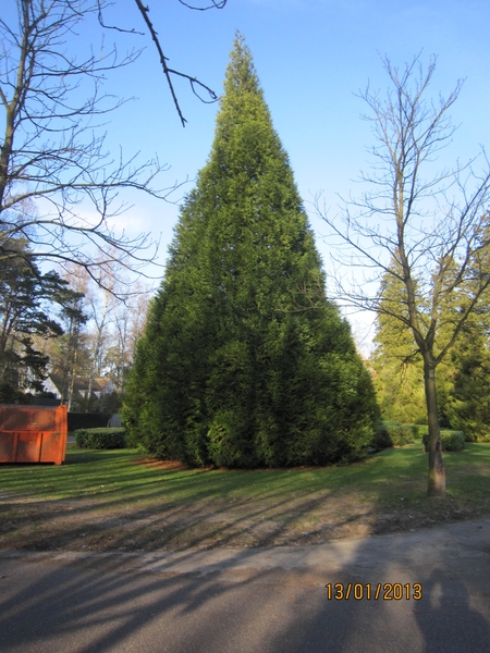 13-01-2013 Wandeling Schoten 080