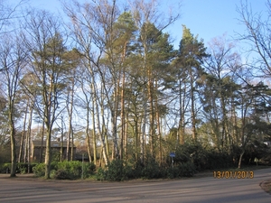 13-01-2013 Wandeling Schoten 081