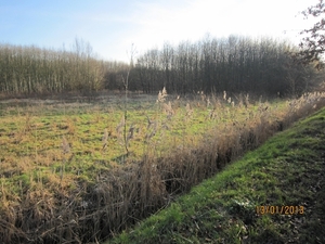 13-01-2013 Wandeling Schoten 098