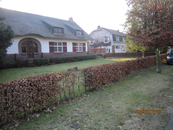 13-01-2013 Wandeling Schoten 111