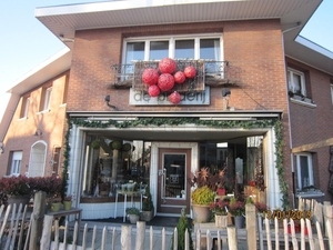 13-01-2013 Wandeling Schoten 114