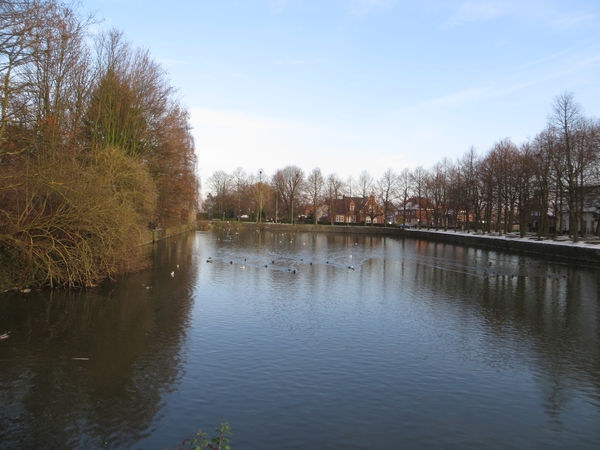 2013-01-13 Steenokkerzeel 002