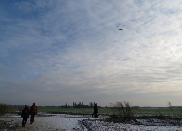 2013-01-13 Steenokkerzeel 006