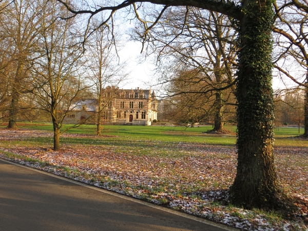 2013-01-13 Steenokkerzeel 015