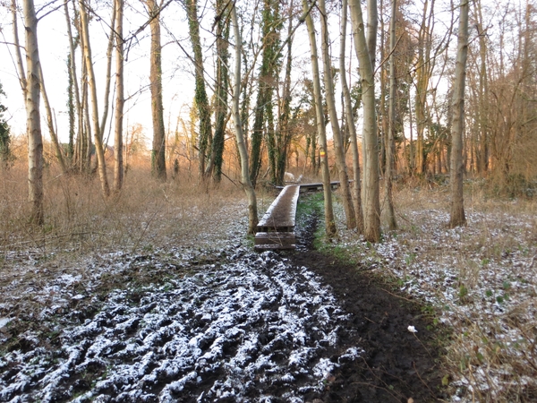 2013-01-13 Steenokkerzeel 017