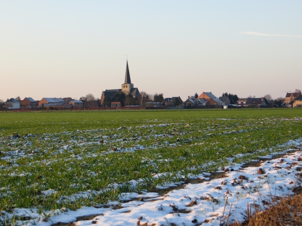 2013-01-13 Steenokkerzeel 018