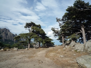 2E Col de la Bavella _P1160812