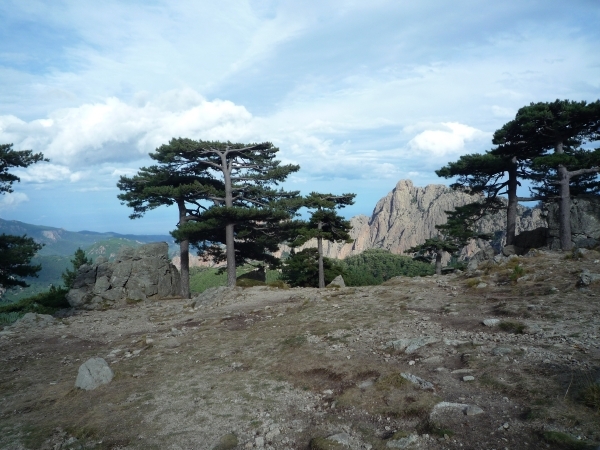 2E Col de la Bavella _P1160814