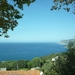 7H Cape Corse _P1170359